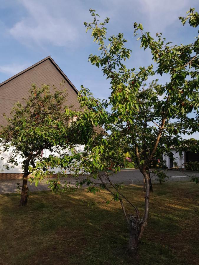 Casa Natur Medebach Buitenkant foto